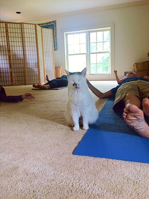 Jen Stone - Yoga Instructor